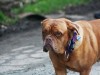 Tessie vor 2 Jahren