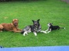 besuch_jacky_01_170