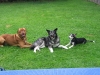 besuch_jacky_01_170