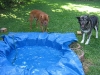 img_0096_11_130
