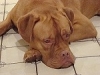 jack_verstorben
