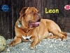 leon_152