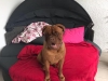 Wilma1