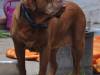 wilma1