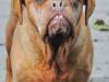 wilma2