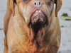 wilma2